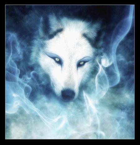 le loup